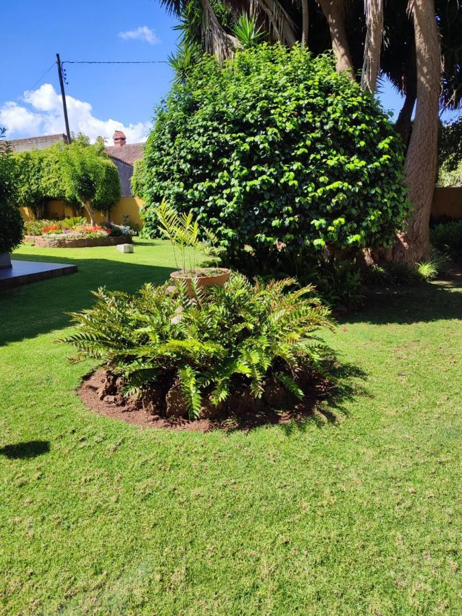 La Chimenea Verde تاكورونتي المظهر الخارجي الصورة